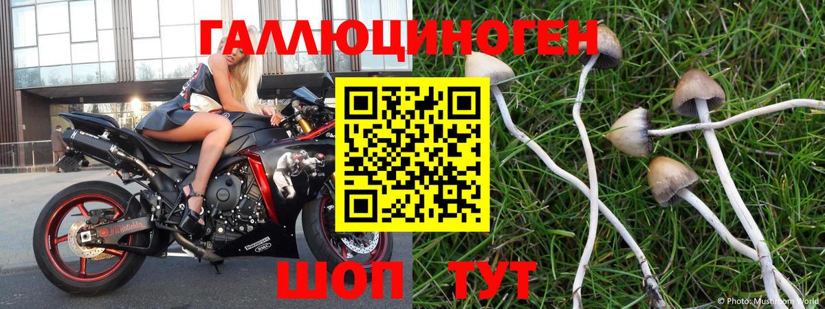 продажа наркотиков  Псилоцибиновые грибы прущие грибы  Вход с VPN  Назрань 