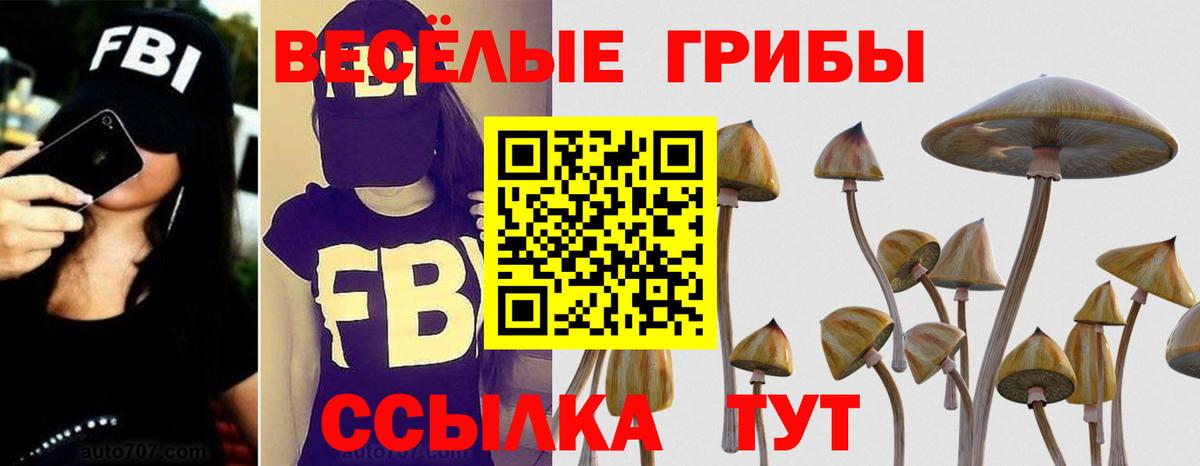 Псилоцибиновые грибы мицелий Назрань
